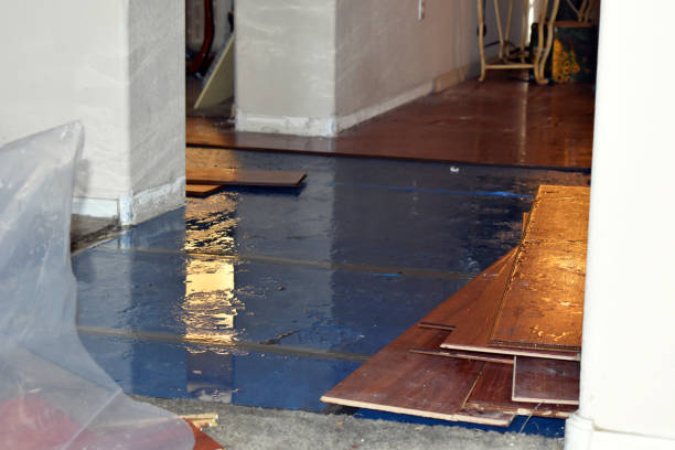 Professional Emergency Water Damage Restoration technician working in Keaau, HI